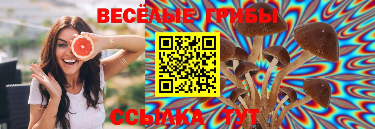 Псилоцибиновые грибы прущие грибы  Вход с VPN  Алейск 